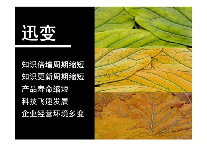 《营销系列培训》PPT课件.ppt_第3页