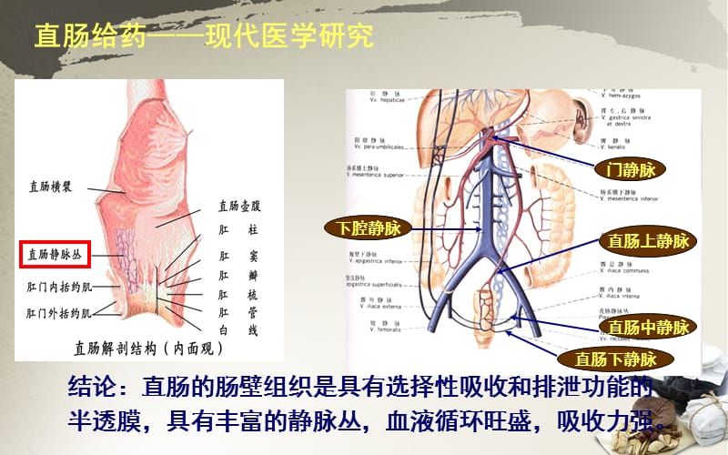 《直肠给药的原理》PPT课件.ppt_第3页