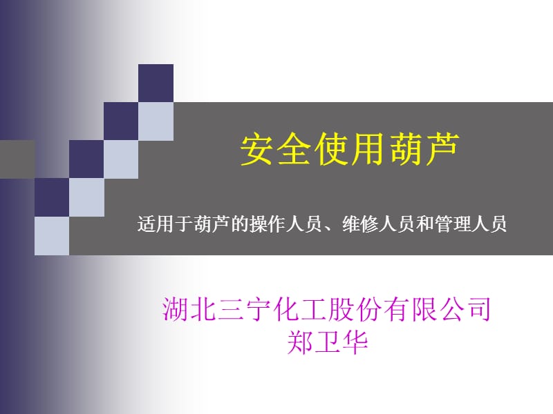 《安全使用葫芦》PPT课件.ppt_第1页