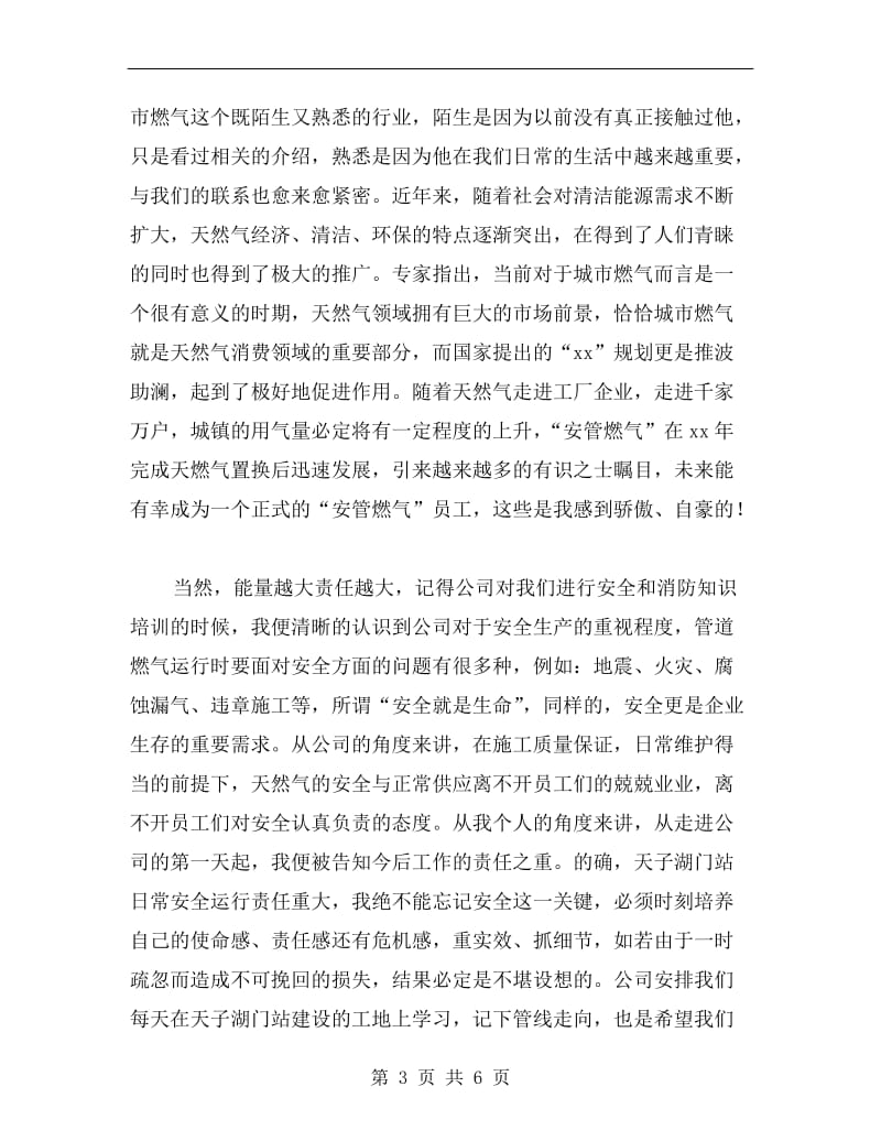 xx年燃气公司实习期个人工作总结范文.doc_第3页