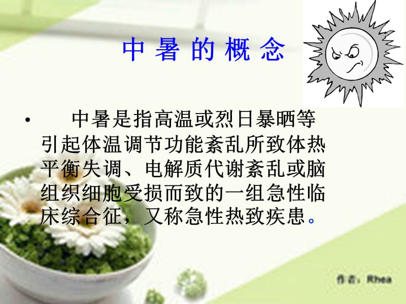 《中暑的护理》ppt课件.ppt_第3页