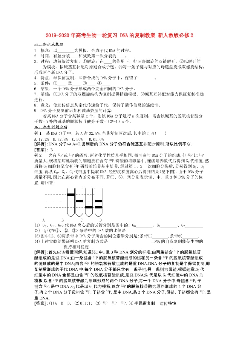 2019-2020年高考生物一轮复习 DNA的复制教案 新人教版必修2.doc_第1页