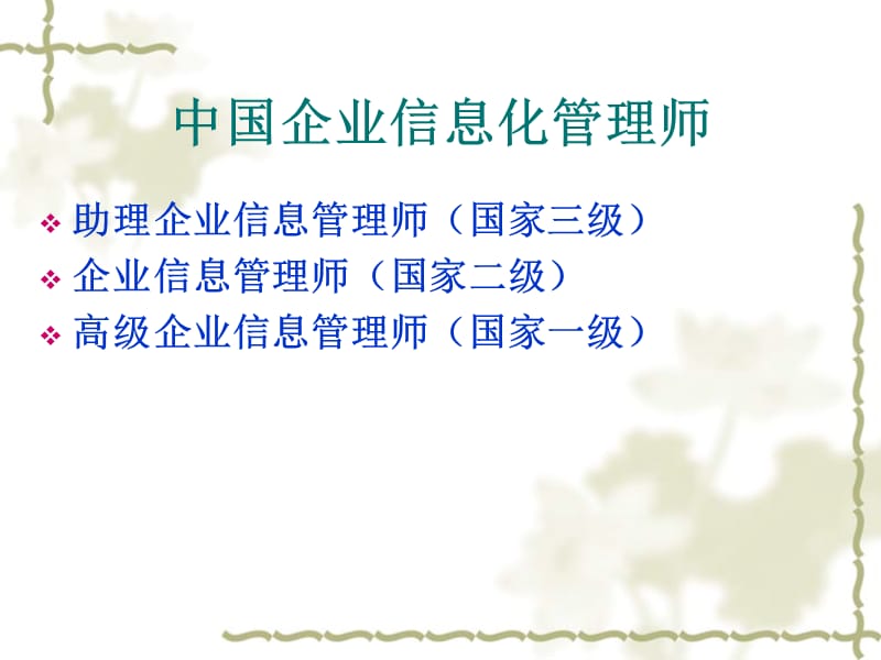 助理企业信息管理师培训.ppt_第2页