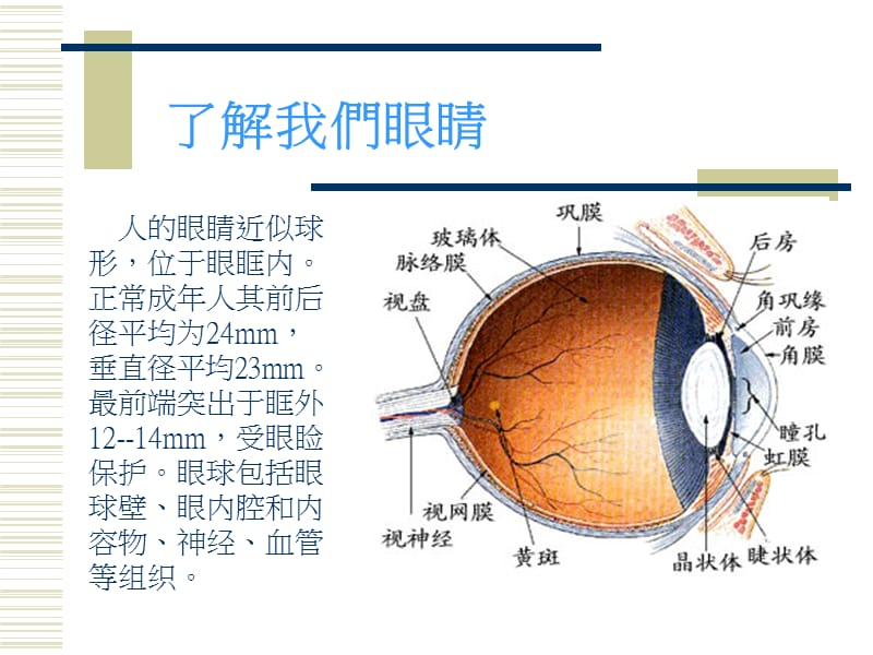 《保护视力班会》课件.ppt_第2页