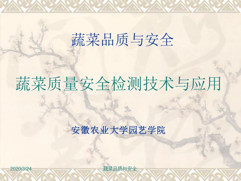 《蔬菜品质与安全》PPT课件.ppt_第1页