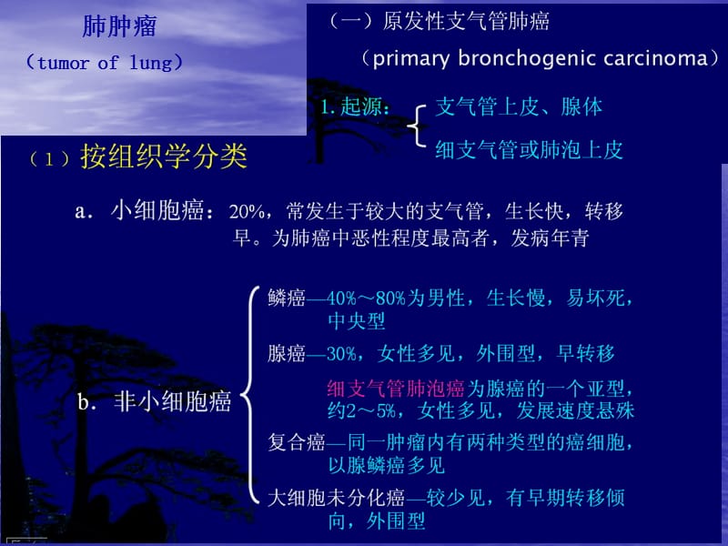 呼吸系统肿瘤x线诊断PPT课件.ppt_第2页