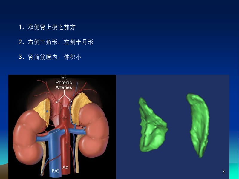 肾上腺常见肿瘤ppt课件_第3页