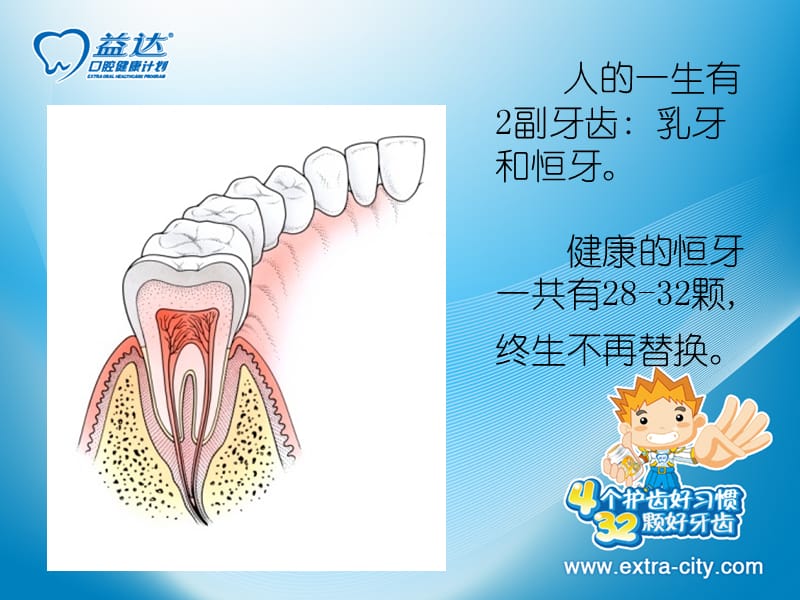 健康安全岛—保护牙齿PPT课件.ppt_第2页