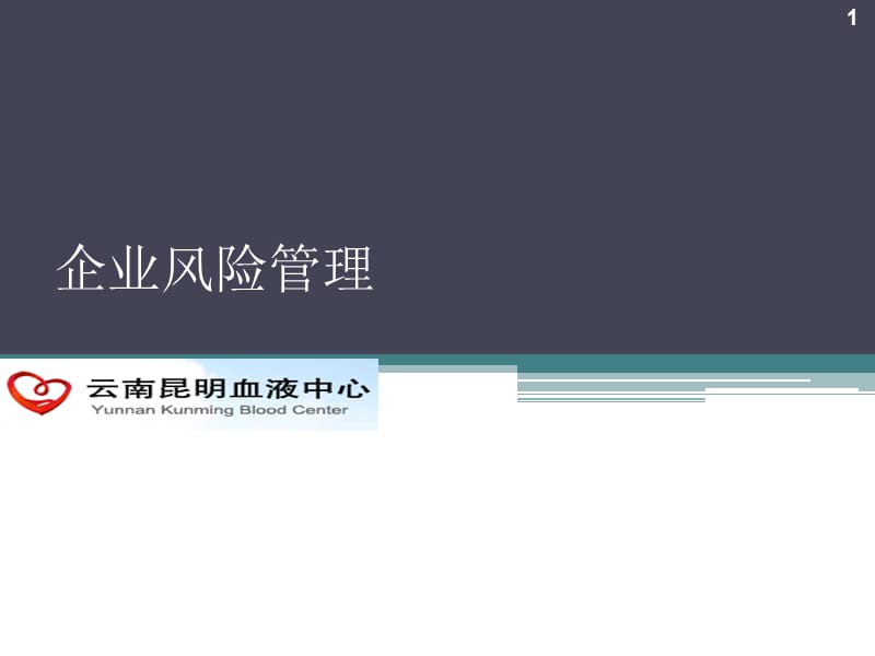 《企业风险管理》PPT课件.ppt_第1页