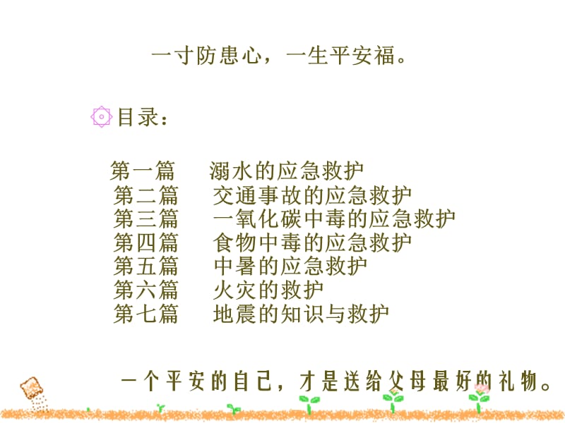 中小学生应急救护知识培训.ppt_第2页