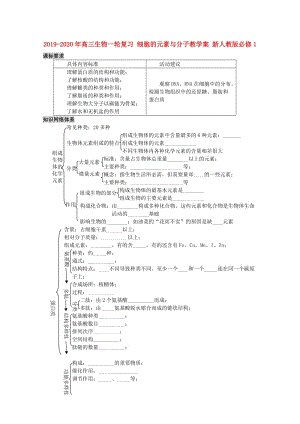 2019-2020年高三生物一輪復習 細胞的元素與分子教學案 新人教版必修1.doc