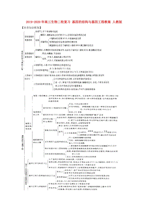 2019-2020年高三生物二輪復(fù)習(xí) 基因的結(jié)構(gòu)與基因工程教案 人教版.doc