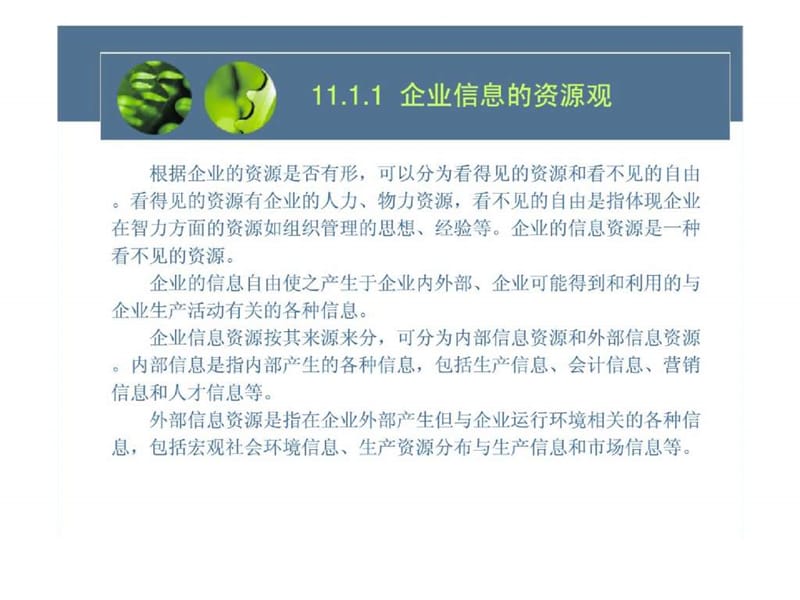 企业信息资源管理.ppt_第3页