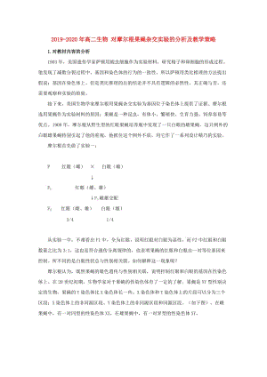 2019-2020年高二生物 對摩爾根果蠅雜交實驗的分析及教學策略.doc