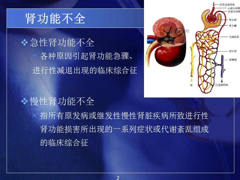 肾功能不全病人手术的麻醉ppt课件_第2页