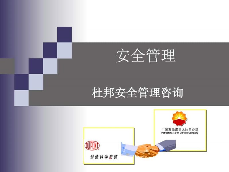 《安全管理系统培训》PPT课件.ppt_第1页