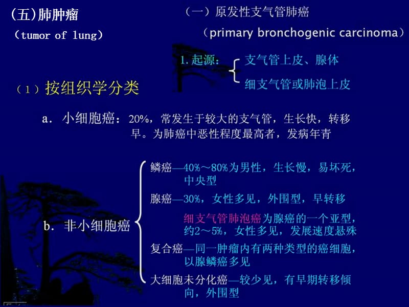 呼吸系统肿瘤X线诊断-影像学课件.ppt_第1页