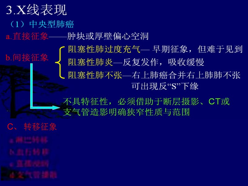 呼吸系统肿瘤X线诊断-影像学课件.ppt_第3页