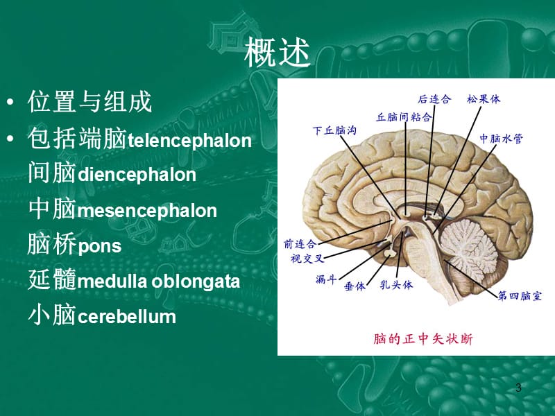 神经外科教学ppt课件_第3页