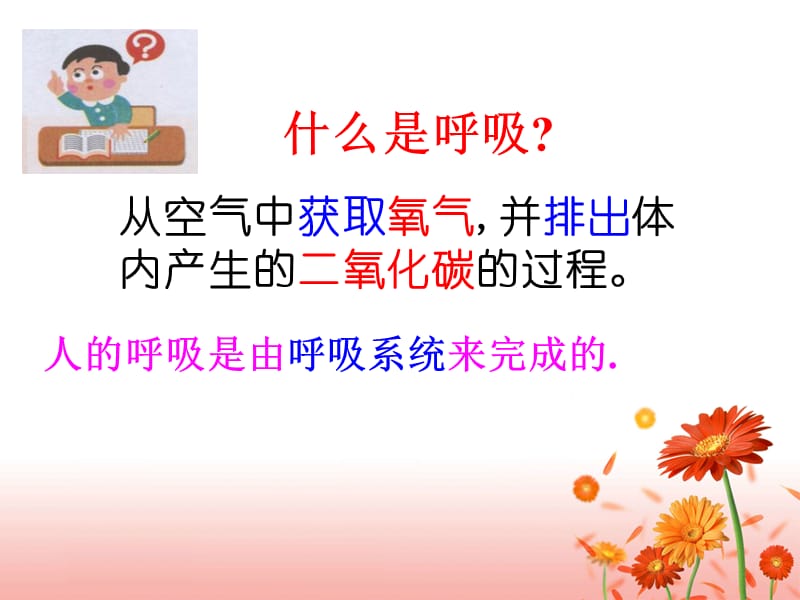 呼吸道对空气的处理最新人教版.ppt_第3页