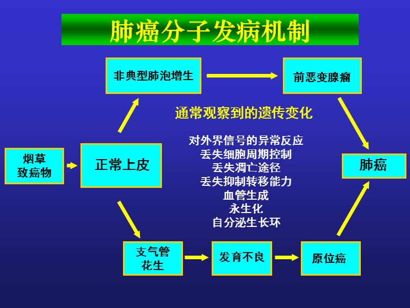 《肺癌的基因治疗》PPT课件.ppt_第3页