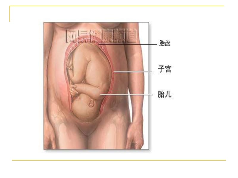 孕产期营养与安全分娩.ppt_第3页