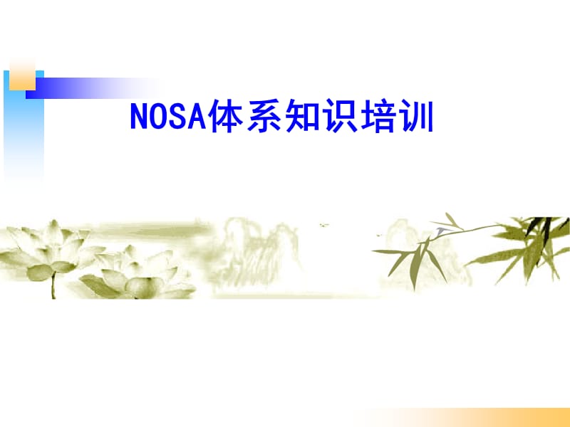 NOSA体系知识培训.ppt_第1页