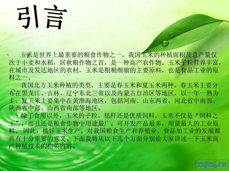 《玉米种植技术》PPT课件.ppt_第2页