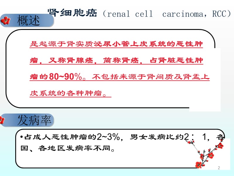 肾癌的诊断与治疗ppt课件_第2页