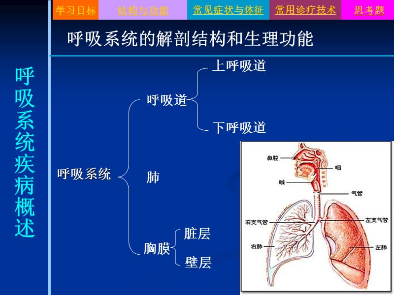 内科护理学概述ppt课件.ppt_第3页