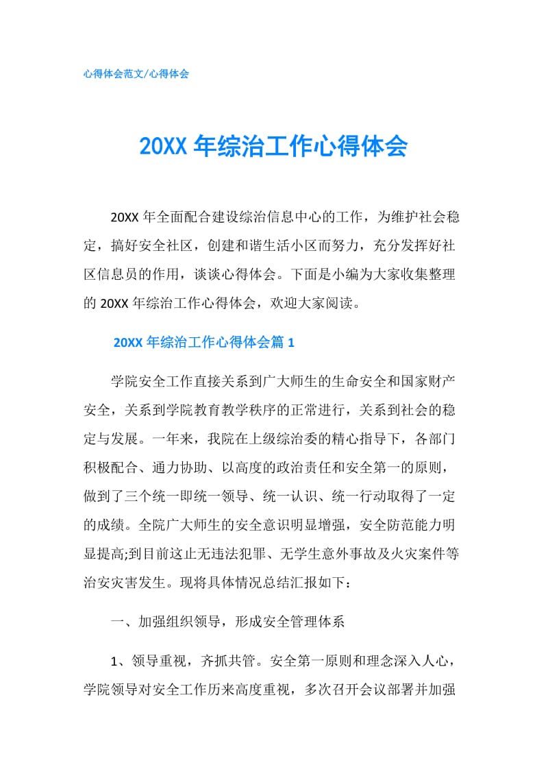 20XX年综治工作心得体会.doc_第1页