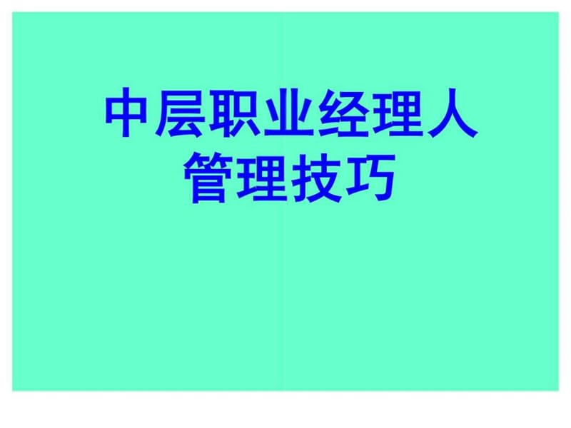 中层职业经理人管理技巧.ppt_第1页