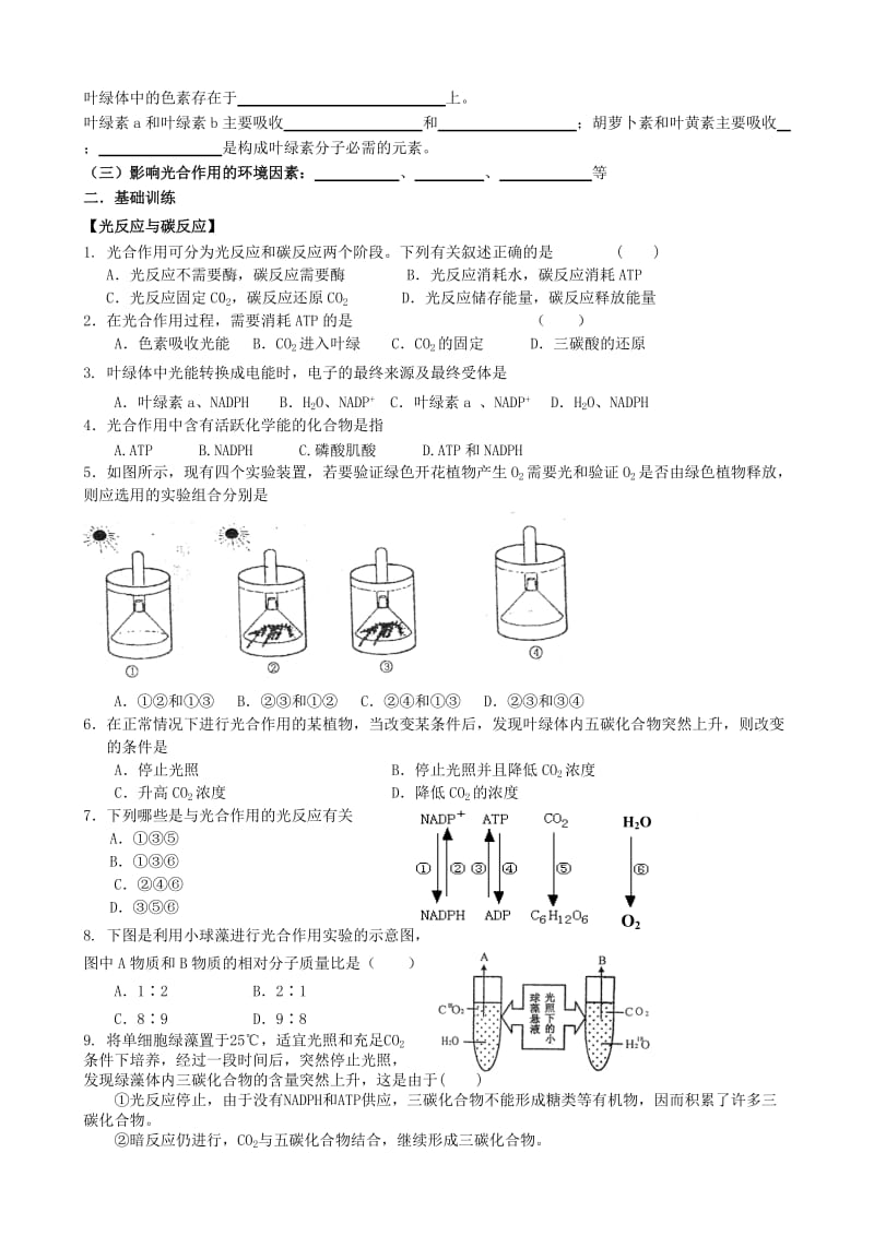 2019-2020年高中生物 第三章第五节 光合作用学案 浙教版必修1.doc_第2页