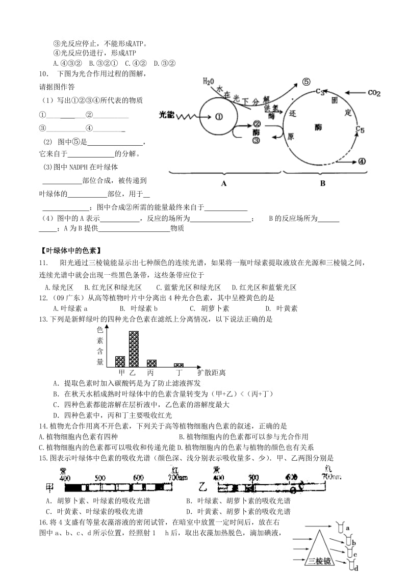 2019-2020年高中生物 第三章第五节 光合作用学案 浙教版必修1.doc_第3页