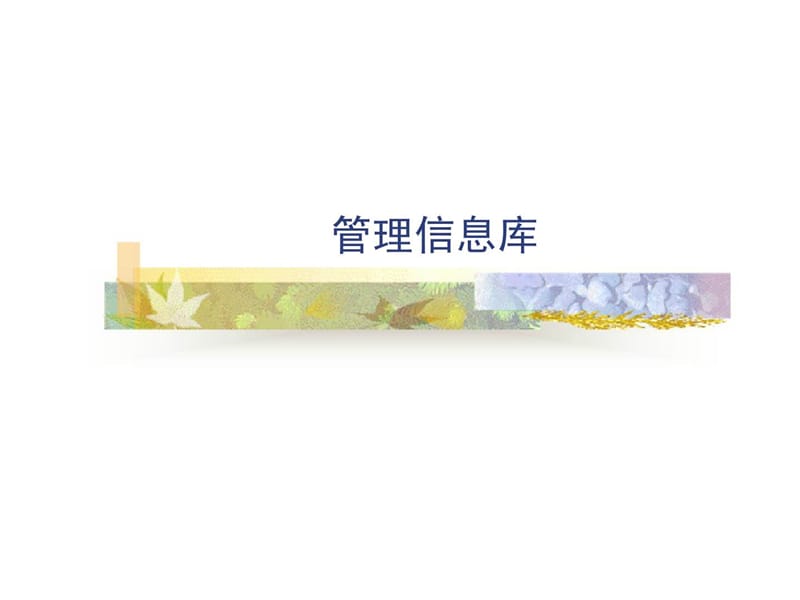 《管理信息库》PPT课件.ppt_第1页