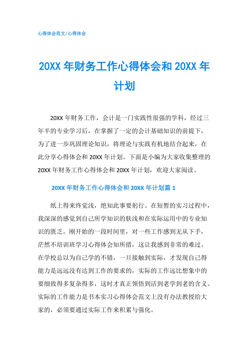 20XX年财务工作心得体会和20XX年计划.doc_第1页