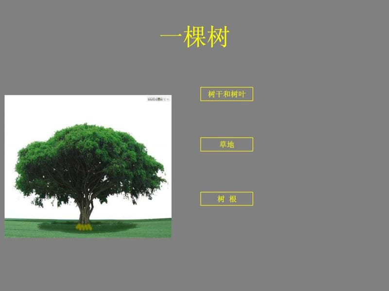 《保安培训大纲》PPT课件.ppt_第3页