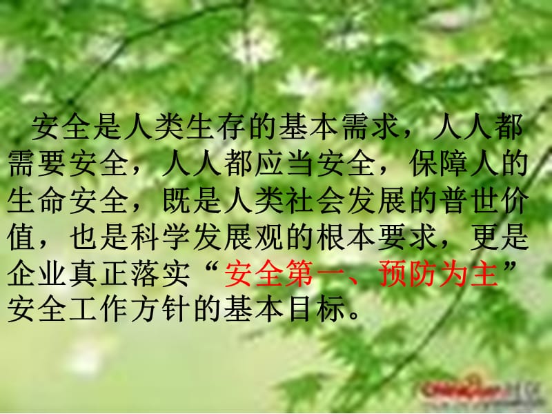 大不可违背安全条款讲义.ppt_第2页