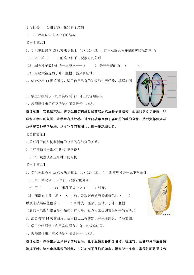 六年级生物下册 第三单元 第一章 第三节 种子植物教学设计 鲁科版（五四制）.doc_第2页