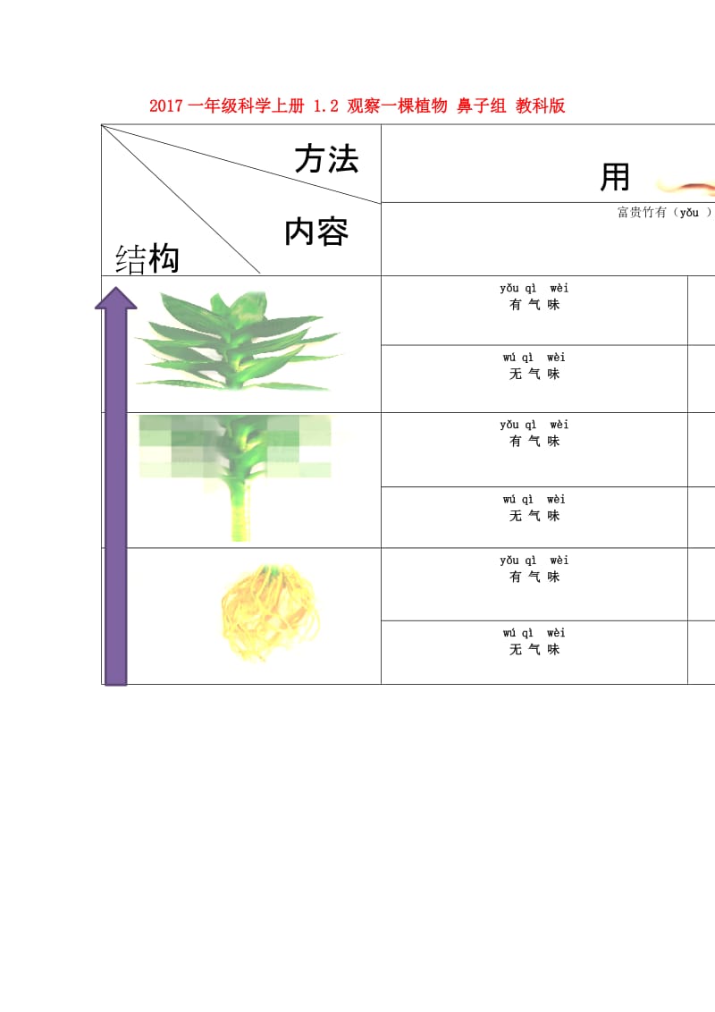 2019一年级科学上册 1.2 观察一棵植物 鼻子组素材 教科版.doc_第1页