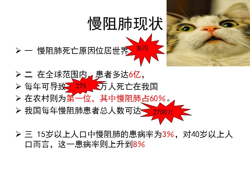 慢阻肺的护理培训.ppt_第2页