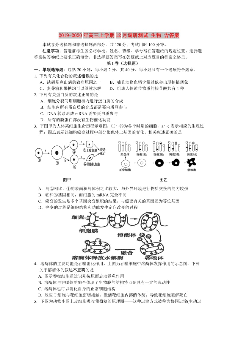 2019-2020年高三上学期12月调研测试 生物 含答案.doc_第1页