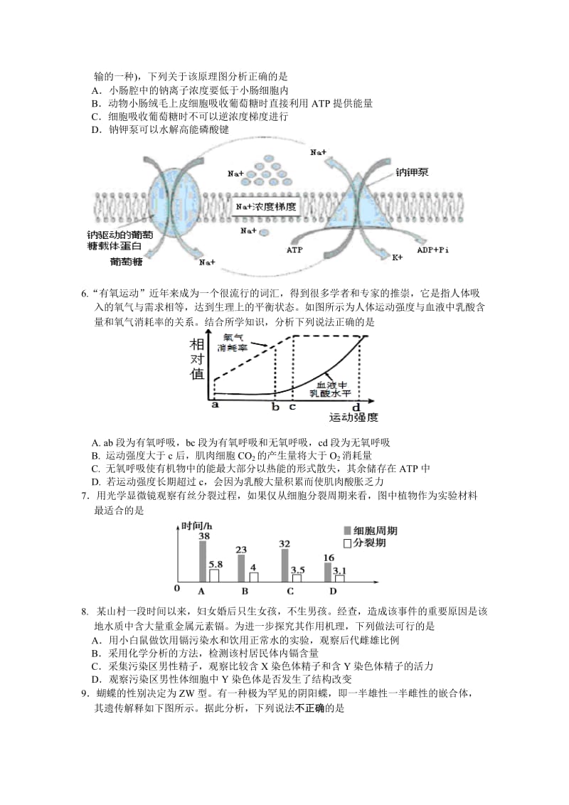2019-2020年高三上学期12月调研测试 生物 含答案.doc_第2页