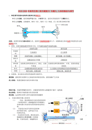 2019-2020年高考生物二輪專題復習 專題九 人體的穩(wěn)態(tài)與調節(jié).doc