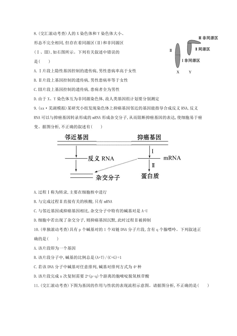 2019-2020年高中生物 阶段滚动检测（四）.doc_第3页