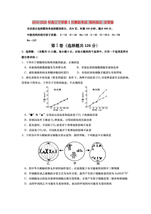 2019-2020年高三下學(xué)期3月模擬考試 理科綜合 含答案.doc