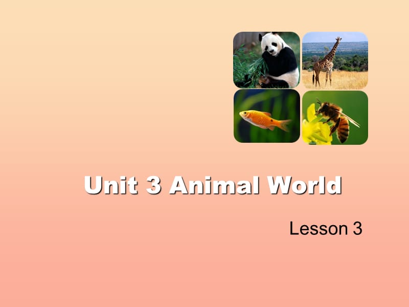 2019六年级英语上册 Unit 3 Animal World（Lesson 3）课件 人教新起点.ppt_第1页