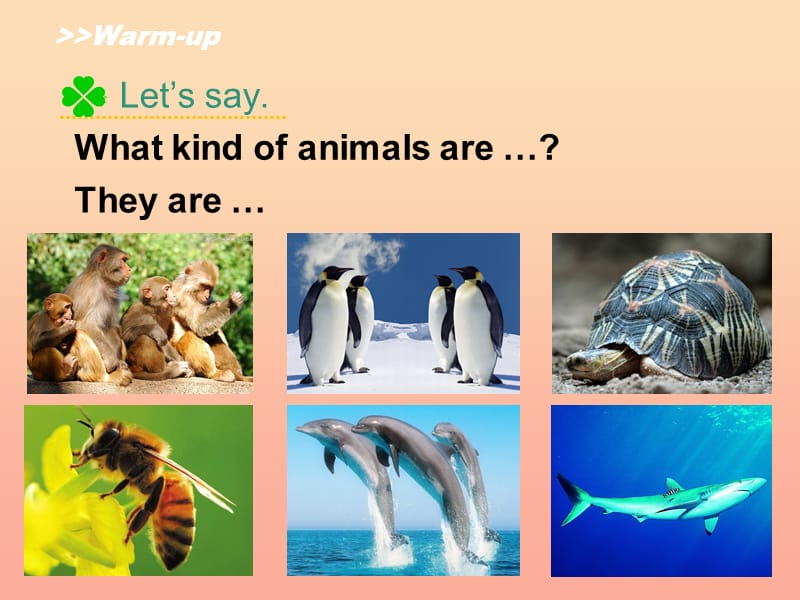 2019六年级英语上册 Unit 3 Animal World（Lesson 3）课件 人教新起点.ppt_第2页