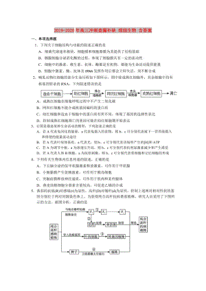 2019-2020年高三沖刺查漏補(bǔ)缺 理綜生物 含答案.doc