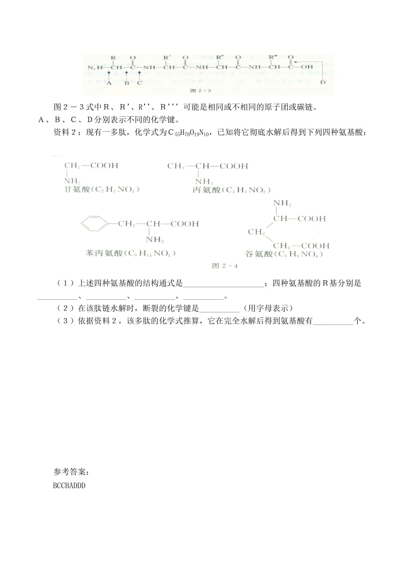 2019-2020年高中生物 2.2 生命活动的主要承担者 蛋白质同步练习（四）新人教版必修1.doc_第2页